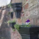 The Tansy House On Queen Street * York