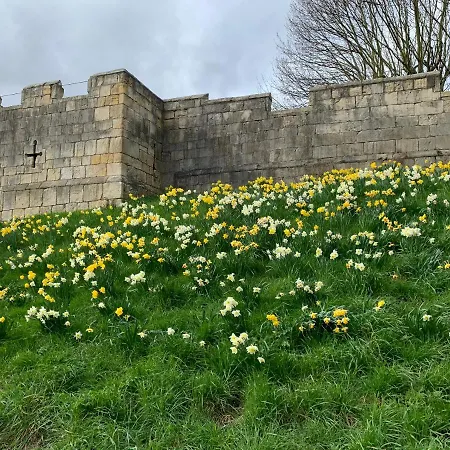 The Tansy House On Queen Street 아파트