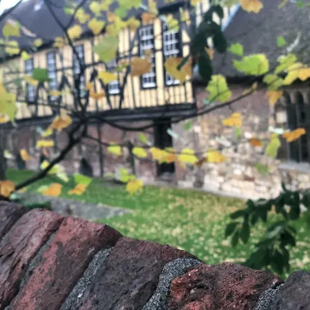 The Tansy House On Queen Street