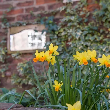 The Tansy House On Queen Street Lägenhet *