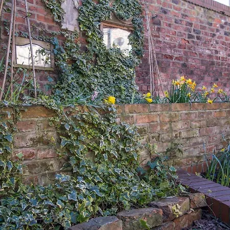 The Tansy House On Queen Street Lägenhet