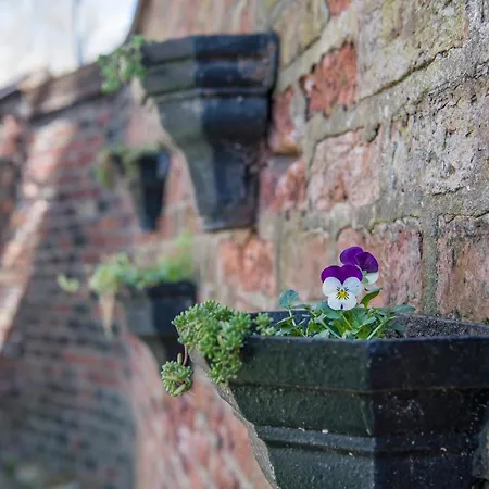 The Tansy House On Queen Street Apartamento