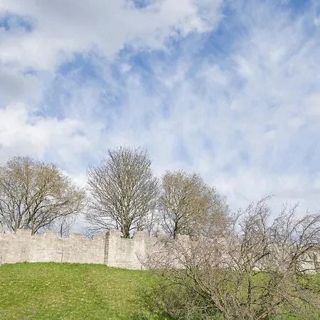 The Tansy House On Queen Street Lägenhet *