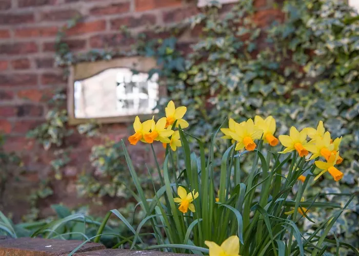 The Tansy House On Queen Street 別荘 *