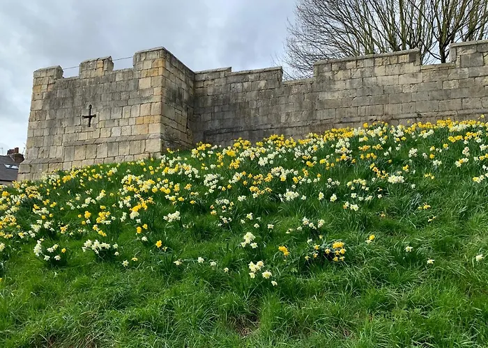 The Tansy House On Queen Street 別荘