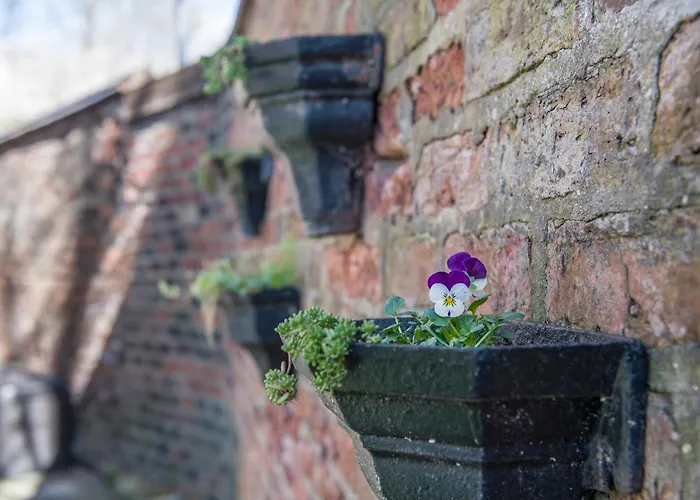 The Tansy House On Queen Street 別荘