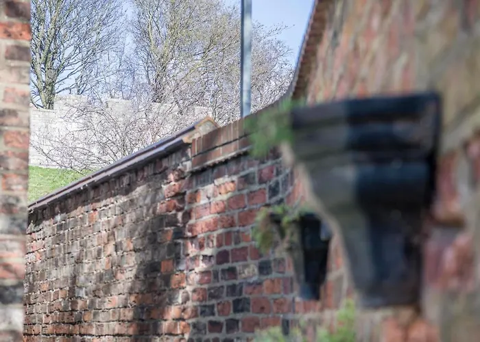 The Tansy House On Queen Street 別荘