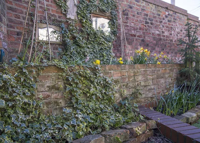 The Tansy House On Queen Street 別荘 *